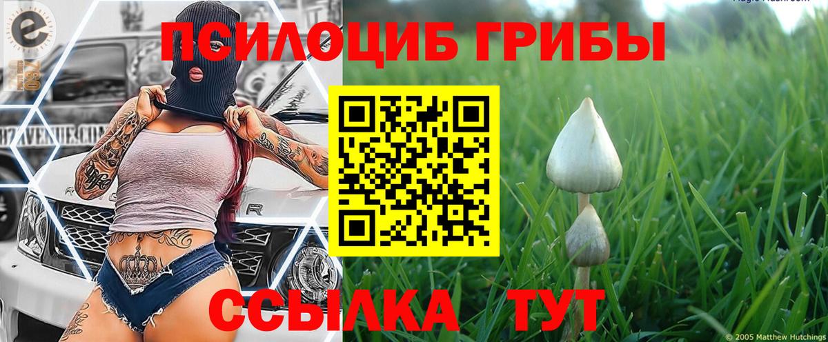 Галлюциногенные грибы мухоморы Сегежа